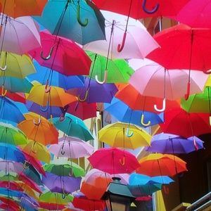 Meet your Posher, Pamel a